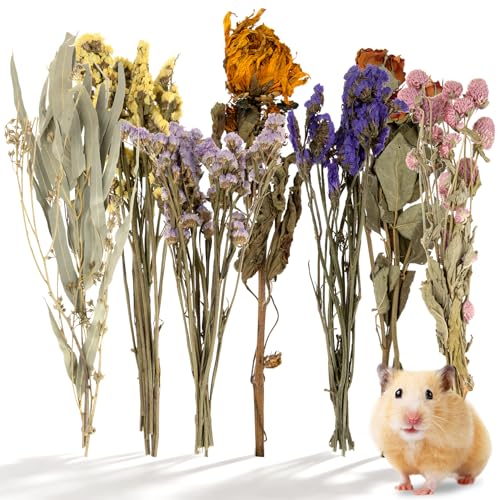 Sukh Hamster Bedding Sprays Habitat Decor - Natural Hamster Cage Accessories with Floral Forage Layered Small Animal Habitat Decor for Hamster Enrichment Syrian Hamster Hideout Cage Decor