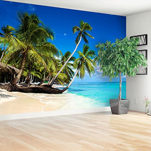 Papier Peint Mer des Caraïbes pour masquer un grand mur vide - 3