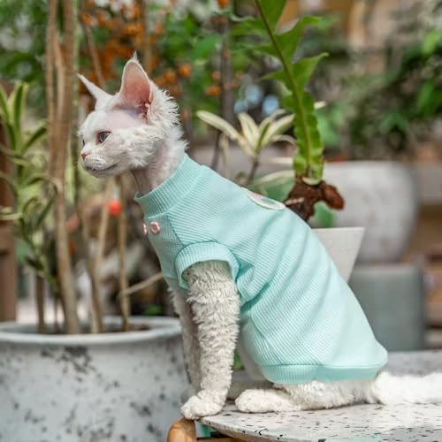 Débardeur sans Manches pour Chaton sans Poils Protège Peau Chat Sphynx - 7