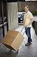COSCO Shifter 135kg Multi Funktion Klappbar Handwagen und Sackkarre (Grün)