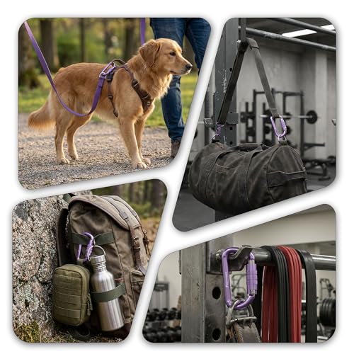 Image of FresKaro 3inch 12kN-2698lbs Auto Locking Carabiner Clips, Solid D Shape, Heavy Duty 7075 Aluminum, Lightweight 1.09oz, Rust Proof, for Hammock, Hiking, Dog Leash, Keychain etc., Multi-Colors