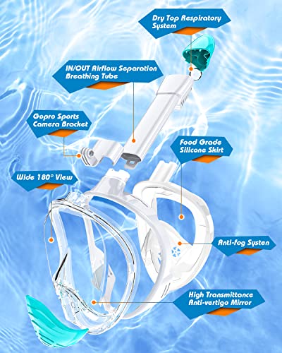 image for QingSong Full Face Snorkel Mask for Adults, Snorkeling Gear with Camer