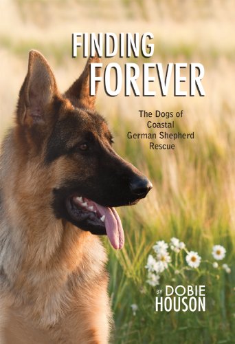 east coast german shepherd rescue