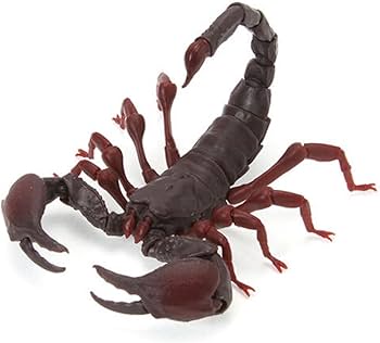 Amazon | レッドクロウエンペラースコーピオン（小） いきもの大図鑑