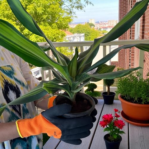 Image of Garden Art Multipurpose Gloves| Cut-Resistant Gloves, Rubber Coated, Comfortable For Wood Working, Construction Work, Electric Welding and Other Activites (Orange Gloves)