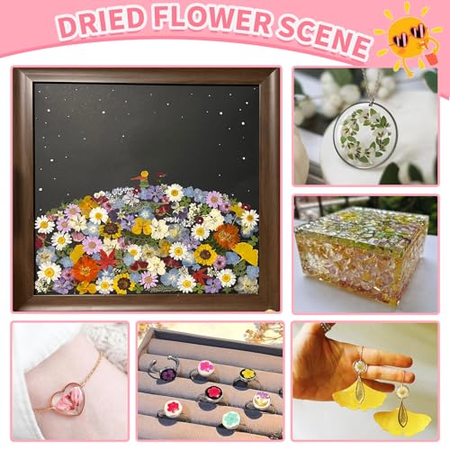 Kit de flores secas prensadas para manualidades miniatura 4