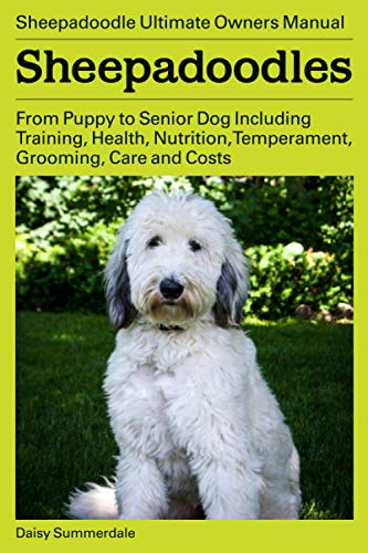 Sheepadoodles. Sheepadoodle Ultimate Owners Manual. From Puppy to Senior Dog Including Training, Health, Nutrition, Temperament, Grooming, Care and Costs.