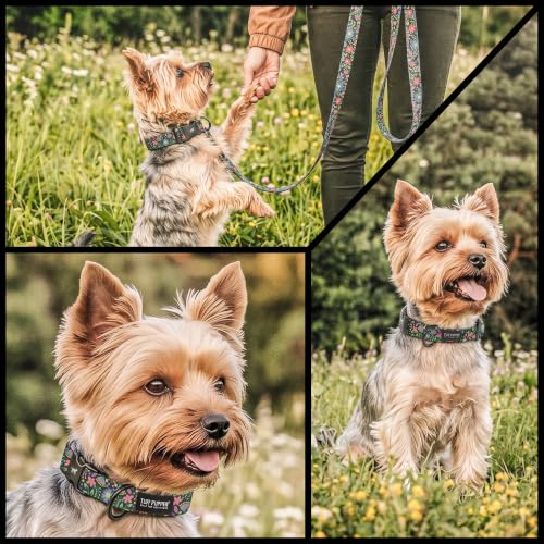 Image of Tuff Pupper Premium Adjustable Dog Collar, Stylish Pattern Collars Designed in USA, Quick Release Buckle, Flora Fiesta XL (1.25 Inch Wide x 20-30 Inch Neck)