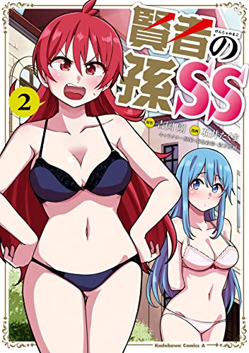 オライリー 無料電子書籍 賢者の孫SS (2) (角川コミックス・エース) バイ