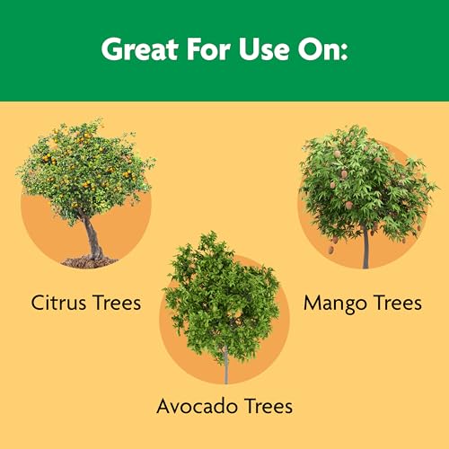 Image of Miracle-Gro Shake 'N Feed Citrus, Avocado, Mango Plant Food - Fertilizer for Container and In-Ground Plants, Citrus, Avocado and Mango Trees, 4.5 lbs. | For Container and In-Ground Plants, Citrus, Avocado and Mango Trees