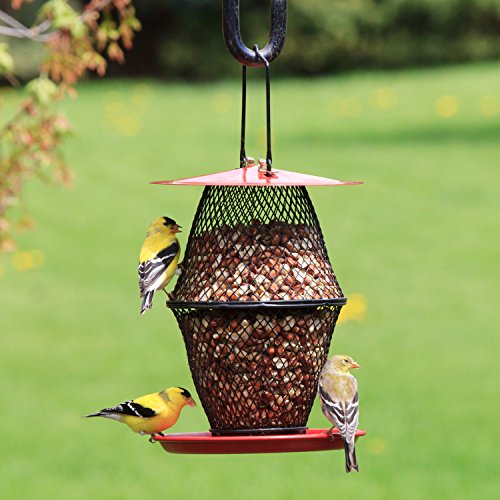 Perky-Pet Mangiatoia Lanterna per Uccelli