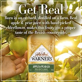 Warner's Distillery Gin