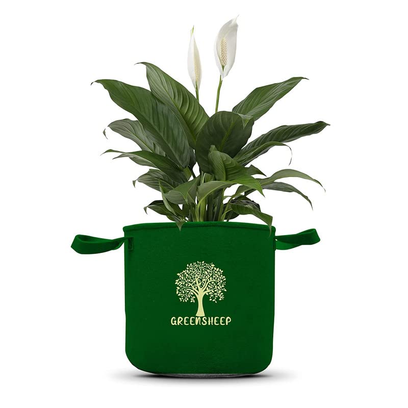 Image of GREENSHEEP Geo Fabric Grow Bags for Terrace Gardening, Balcony, Vegetables, Plants, Fruits and Flower with Handles - Breathable and Reusable Plant Bags for Indoor (Grey) (Pack of 3) (Size-6x12)