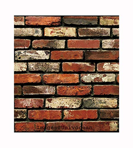 Univocean Vinyl PVC Abstract Wall Sticker, 200 x 45 cm, Multicolour Univocean Vinyl PVC Abstract Wall Sticker, 200 x 45 cm, Multicolour