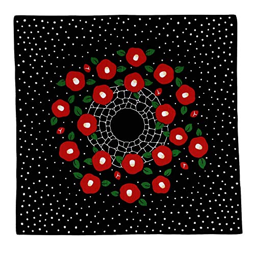 kC~l ny{E100%Ec50 cm 50cm z F112