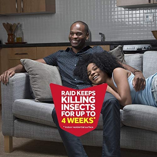 Miniatura 5 de Raid Ant Killer Spray Pine Forest, 17.5 onzas (paquete de 4)