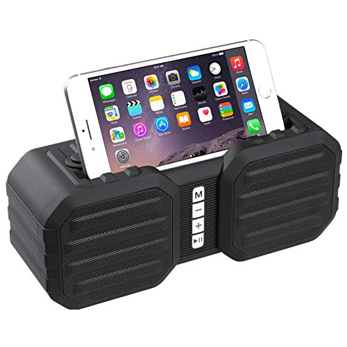 Dolphin Bluetooth Portable Speaker with AUX and Radio, Small Speaker for iPhone, Black