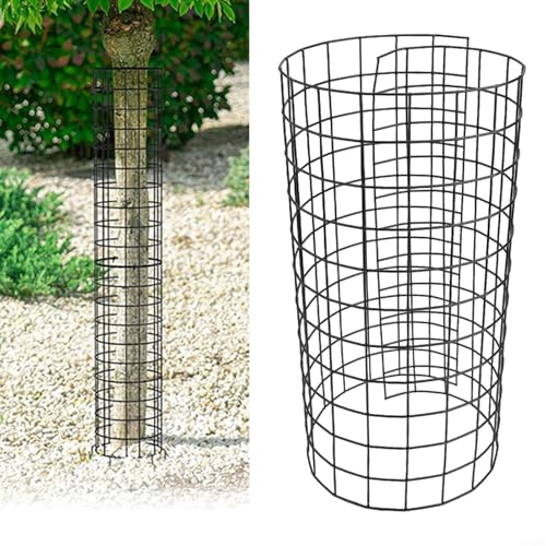 Protege tus árboles jóvenes con sistemas de protección de estacas de metal fuertes diseñados para la longevidad (B)