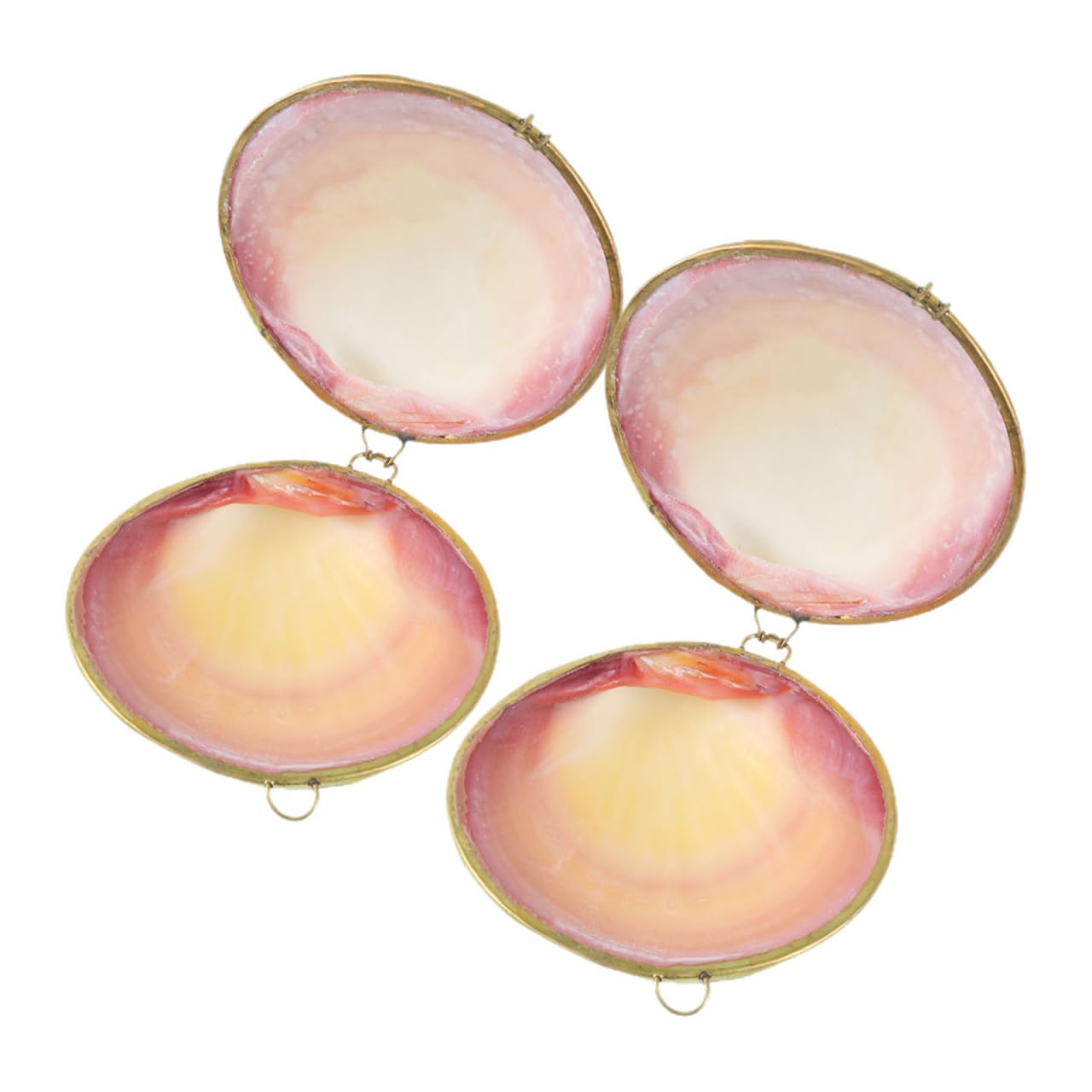 Boîte à bijoux en coquillage, plat de rangement et écrin à charnière