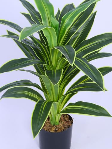 Image of ARICK DECOR 3Ft Artificial Variegated Dracaena Plant in Pot, 3ft Realistic Faux Song of India Tree, White Green Peacock Shaped Floor Plant for Home & Office