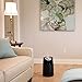 Vornado Ultra3 Whole Room Ultrasonic Humidifier