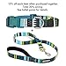 Friends Forever Durable Nylon Dog Leashes for Small Dogs to Large Dogs, Pattern Cat Leashes for Walking - Puppy Leash 5 Feet Long for Dogs & Cats, Tribal Teal