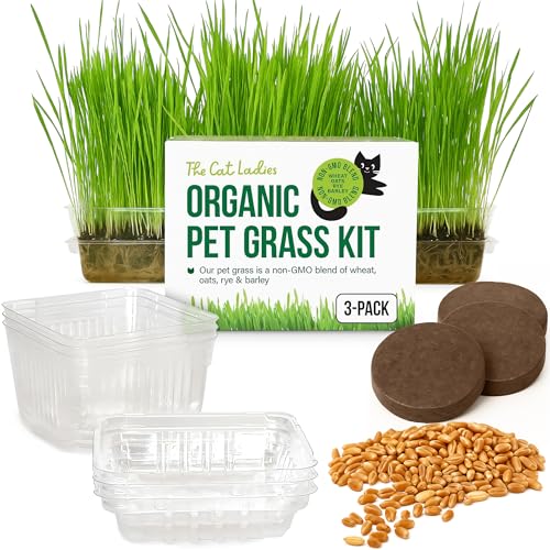 The Cat Ladies Cat Grass for Indoor Cats - Growing Kit - Organic Cat Grass Seeds, Soil and BPA Free Containers (Non GMO) - Locally Sourced Seeds! (3 Pack)