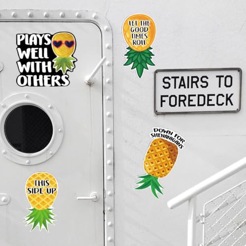 Imanes decorativos piña grandes set 4 piezas miniatura 7
