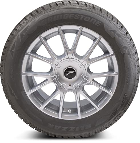 Amazon.com: Bridgestone: Blizzak DM-V2