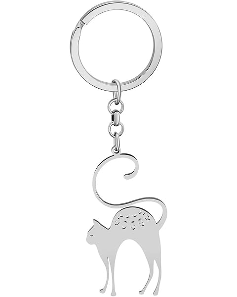 Cute Stainless Steel Cat Keychain Gifts for Women Girls Cat Keyrings Purse Car Keys...