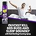 Raid Bed Bug Foaming Spray, Kills Bed Bugs and Their Eggs, for Indoor Use, Non-Staining, Keeps Killing for Weeks, 16.5 oz (Pack of 1)