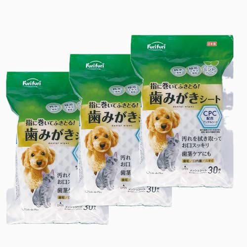 yLܕtz{ ݂V[g ybgp iRO/܁j×R܃Zbg