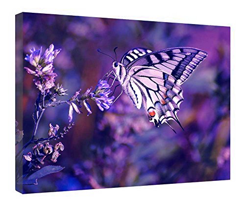 Toile murale en bois papillon tableau encadré 40.6x50.8 cm