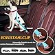 Hunde Sicherheitsgurt, 2 Stück Auto Sicherheitsgurt, Hundegurt fürs Auto, Hunde für Auto Einstellbarer Lang und Kurz, Hundeanschnaller fürs Auto, Blau