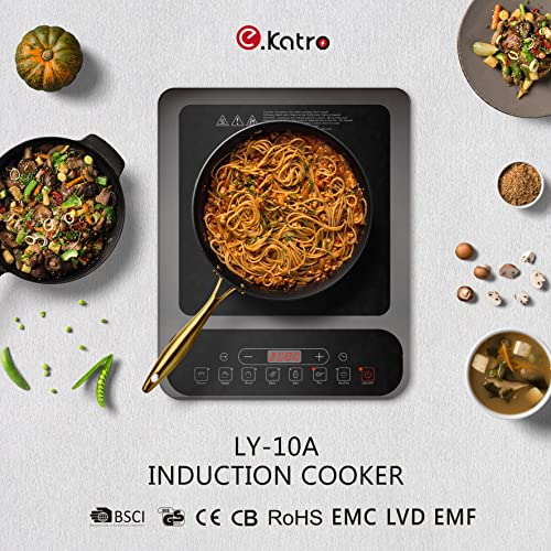 Ekatro - Piano cottura a induzione, 2000 W, con 7