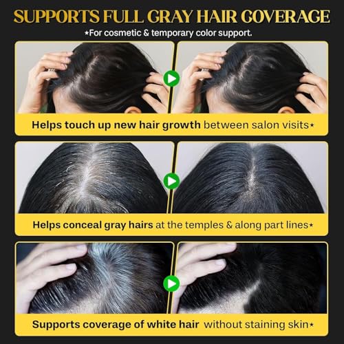 Image of FEORA Hair Colour Comb Waterproof Grey Hair Coverage Touch up Stick Hair Dye Comb Instant Hair Colour Hair Color Black White Hair Coverage Touch Up Stick Brush Pen BLACK