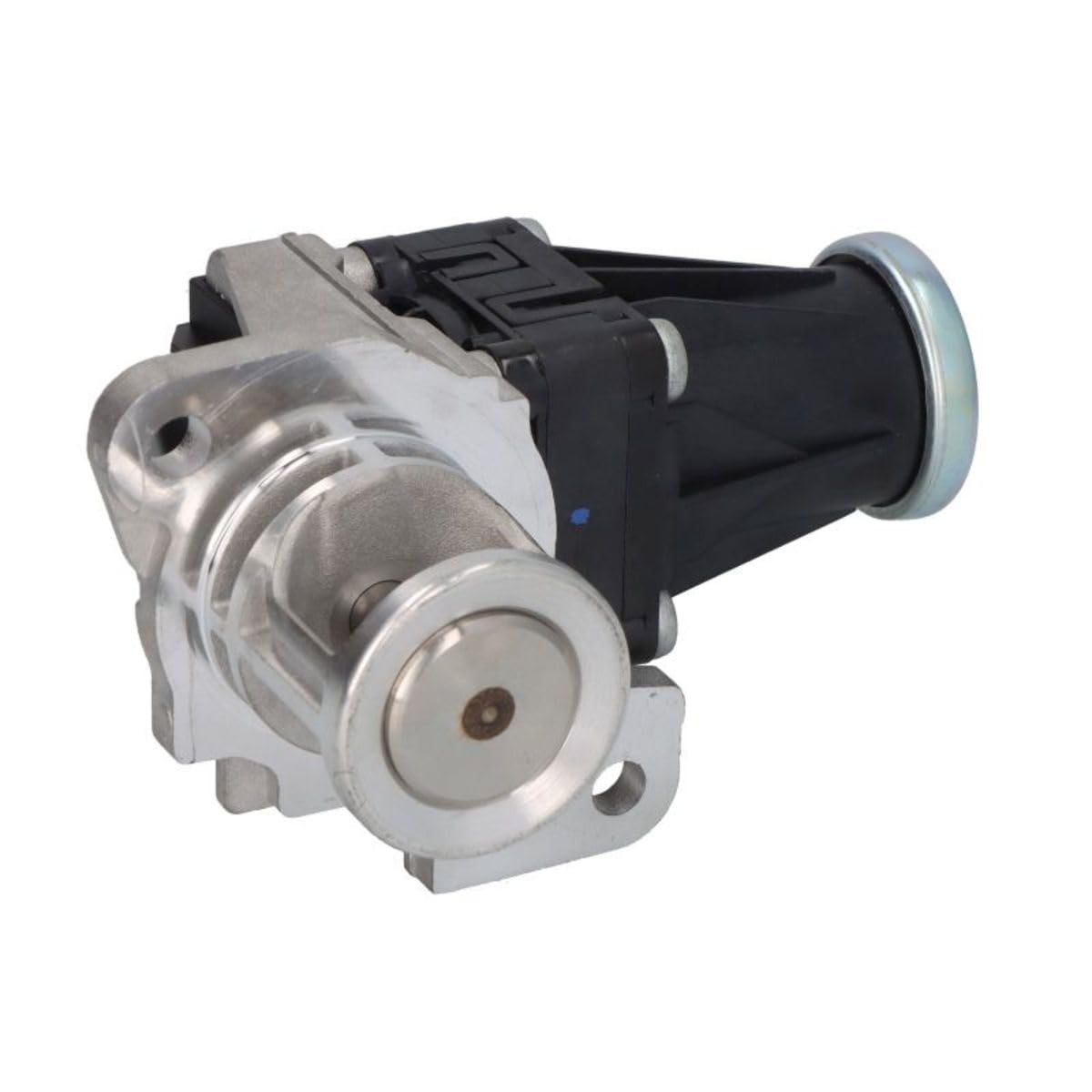 DELPHI EG10553-12B1 Válvula EGR sin radiator EGR Compatible con NISSAN Qashqai II J11, J11, RENAULT Megane 3 Grandtour KZ0/1 Clio 4 Grandtour KH Clio 4 Hatchback BH GRAND Scénic 3 JZ0/1