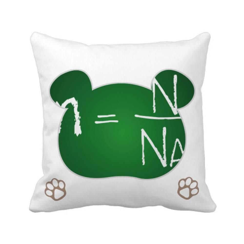 Housse de coussin chimie ours un cadeau original pour prof de science