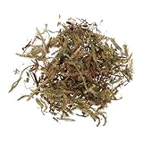 Veemoon 1set Realistic Artificial Grass Landscaping Kit for Miniature Diorama Detailed Dried Grass and Bushes for Sand Table Model Train Scenery