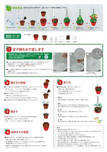 【4個入】ハートのミニトマトがなる野菜栽培キット ハートマト 7枚目