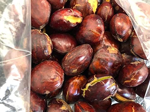 Fresh Jengkol Raw 1kg (Pack of 2)