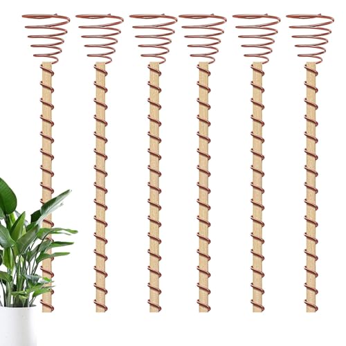Antenas De Cobre Para Jardín Electrocultivo - Pack De 6 Estacas De Cobre Para El Jardín | Bobinas De Cobre De 12 Pulgadas Para Plantación De Jardines, Jardinería Sostenible, Herramientas De Jardín Con