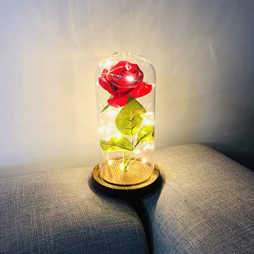 iSintek Kit de rosas de beleza e a fera, rosa de seda vermelha, presentes românticos para aniversári