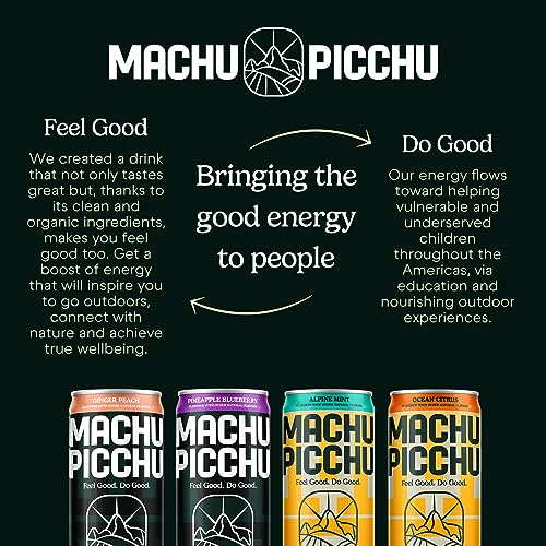 MACHU PICCHU ENERGY, Zero Sugar Organic Energy Drink, 12oz (Pack of 12), 120mg Organic Green Coffee Bean Caffeine, Better for You Energy, Low Calorie, USDA Organic, No Preservatives (Variety Pack)