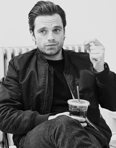 Sebastian Stan - 36X48 Poster Print Wall Décor PDI #PIDP936715