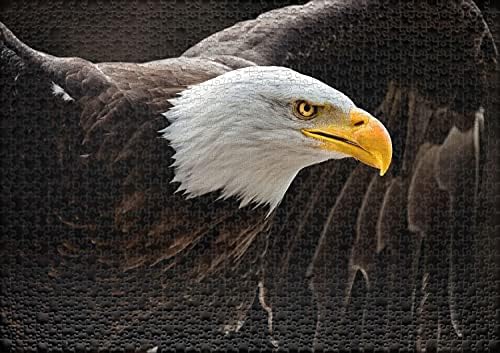 Ulmer Puzzleschmiede „Der Seeadler“ - 1000 Teile Tier-Puzzle für Erwachsene – Der wappennarbige Adler mit ausgebreiteten