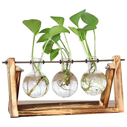 Yimeezuyu Plant Propagation Stations,Hydroponic Plant Vases with Wooden Stand,Desktop Glass Planter Bulb Glass Vase for Hydroponics Plants Home Office Garden Decor Cover
