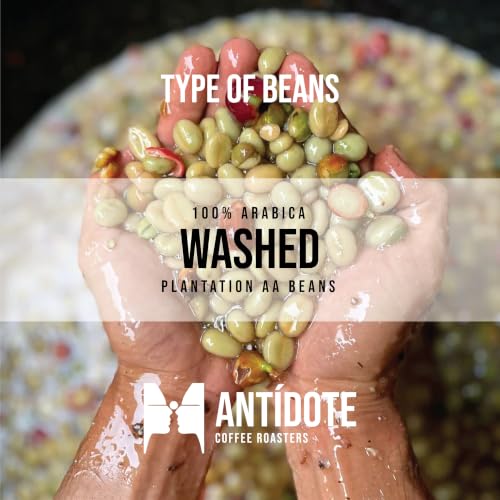 Image of ANTIDOTE COFFEE ROASTERS Carmina | Raspberry Infused Coffee Beans | Freshly Roasted Small Batch Arabica | 250G Fine