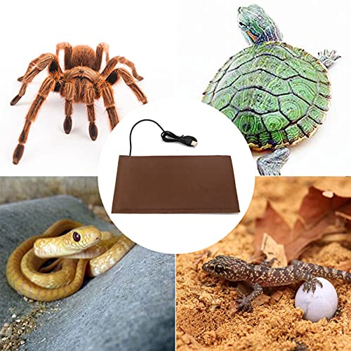 Estera calefactora para mascotas pequeñas y reptiles con termostato ajustable 5