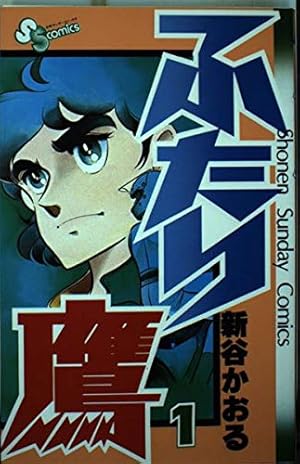 ふたり鷹 全19巻完結(少年サンデーコミックス) [マーケット